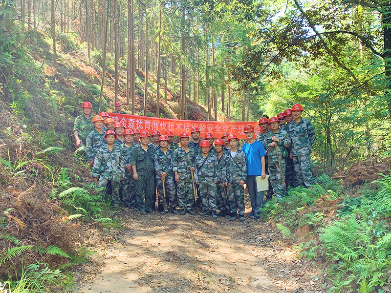 严把森林培育质量关，谱写资源培育新篇章