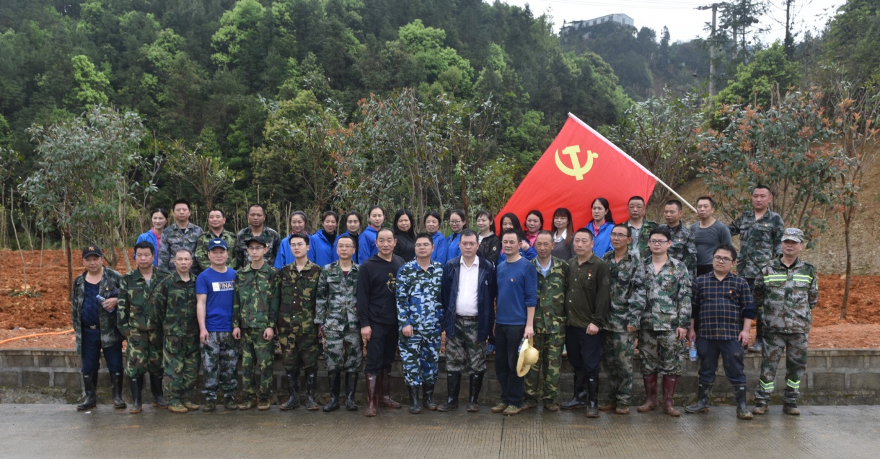 阳春三月雨，正是植树好时节