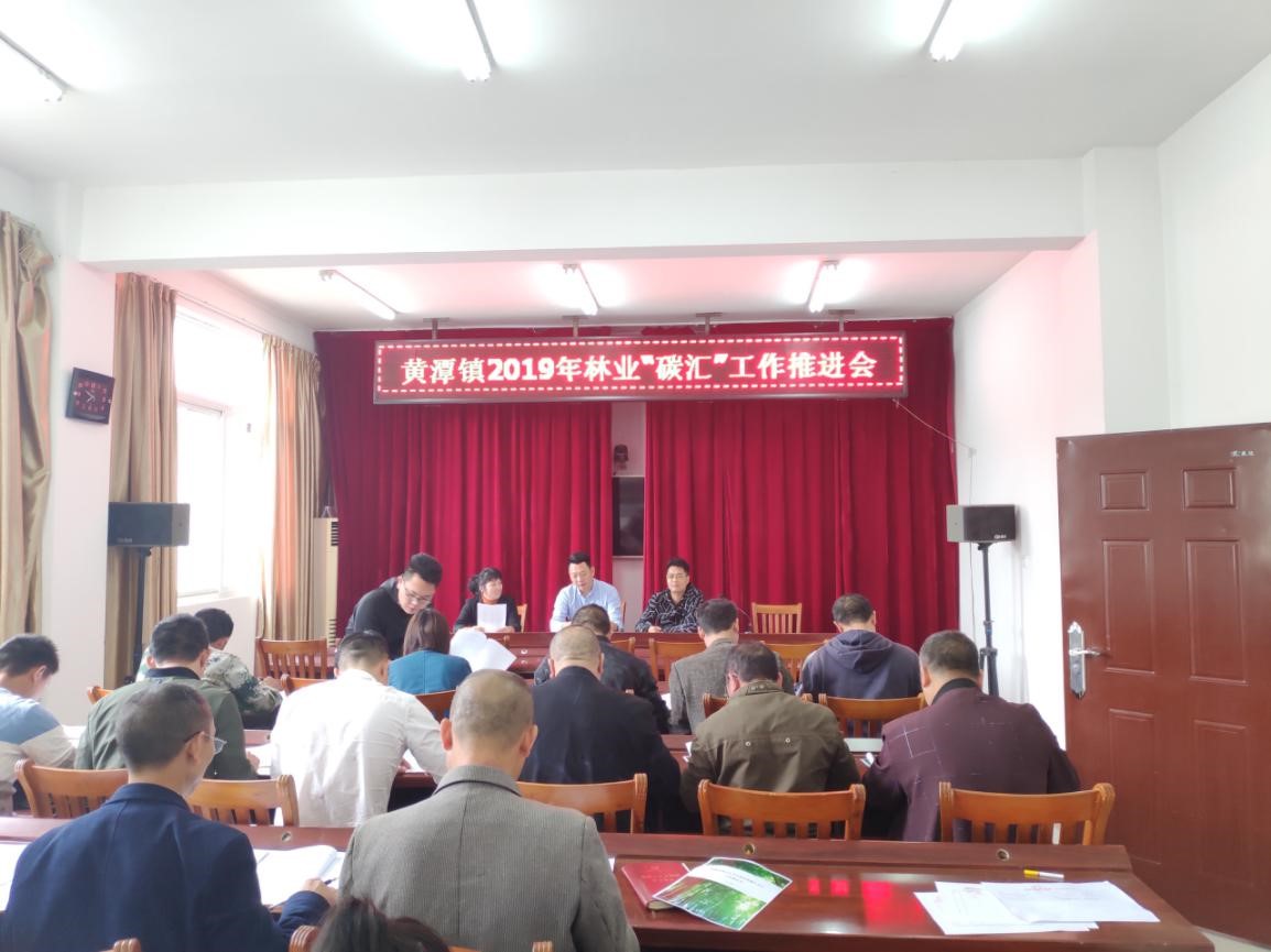 福建9159金莎游艺场践行”绿水青山就是金山银山“  推进毛竹林经营碳汇项目开发