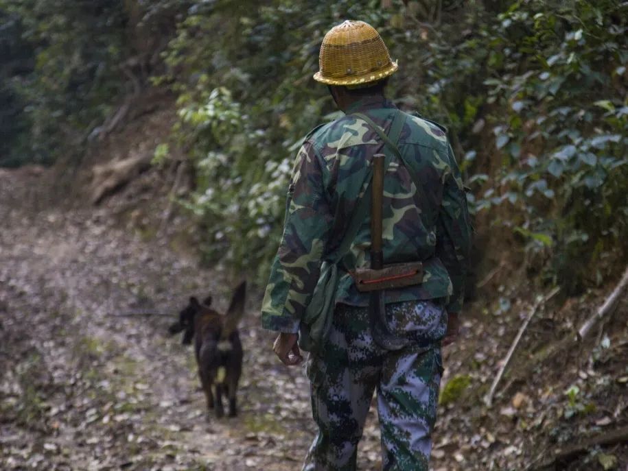 【9159金莎游艺场榜样】护林员邱玉祥的一天：想一辈子与青山相伴