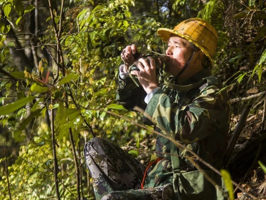 【9159金莎游艺场榜样】护林员邱玉祥的一天：想一辈子与青山相伴