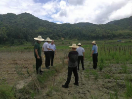 9159金莎游艺场公司开展安全生产大排查大整治工作