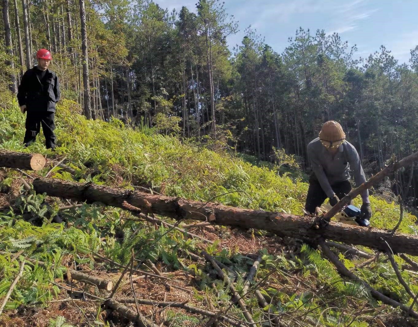 筑牢安全防线，守护一方平安 ——将溪分公司安全生产工作纪实