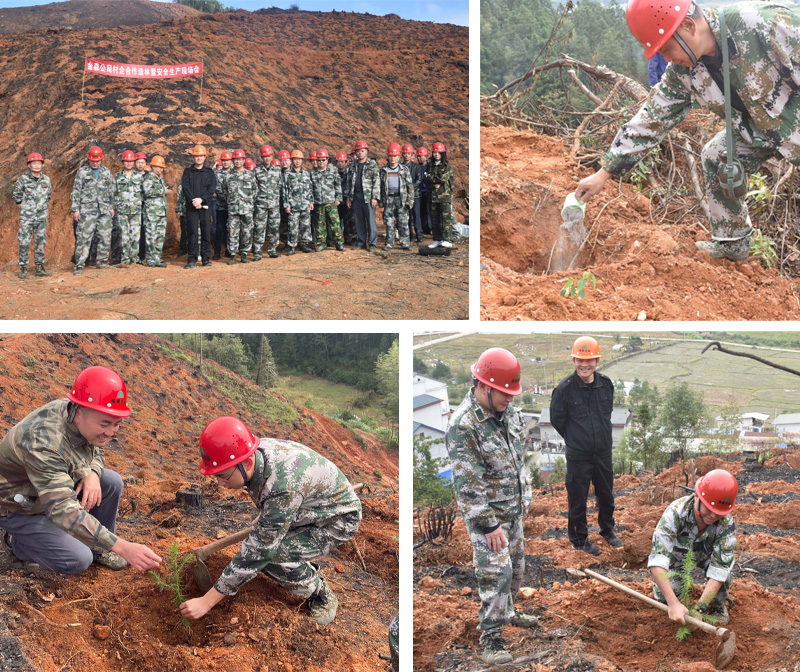 【主题教育·我在岗位做贡献】福建9159金莎游艺场召开村企合作造林暨安全生产现场会