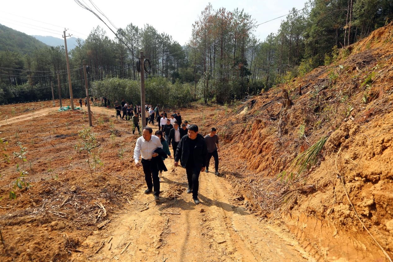 不负春光好，抢播万亩林 ——将乐县村企合作造林工作现场会在福建9159金莎游艺场召开