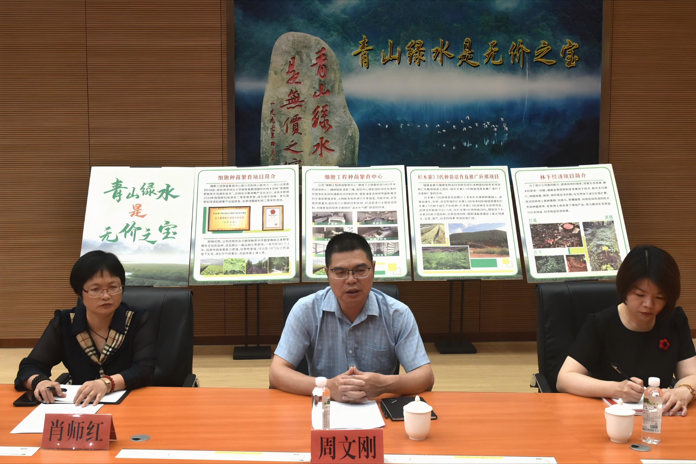 政企携手 共谋区域林业经济发展